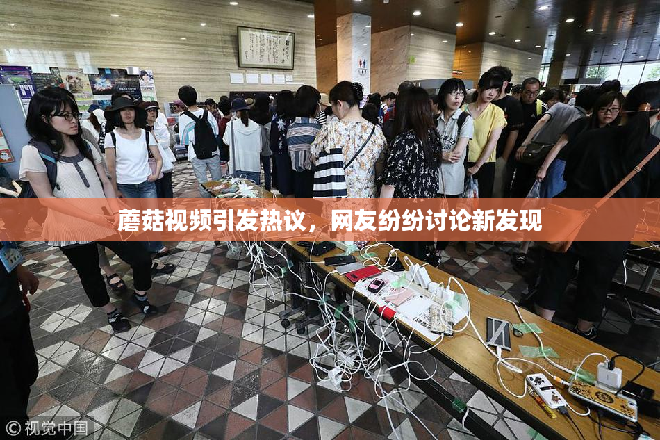 蘑菇视频引发热议，网友纷纷讨论新发现