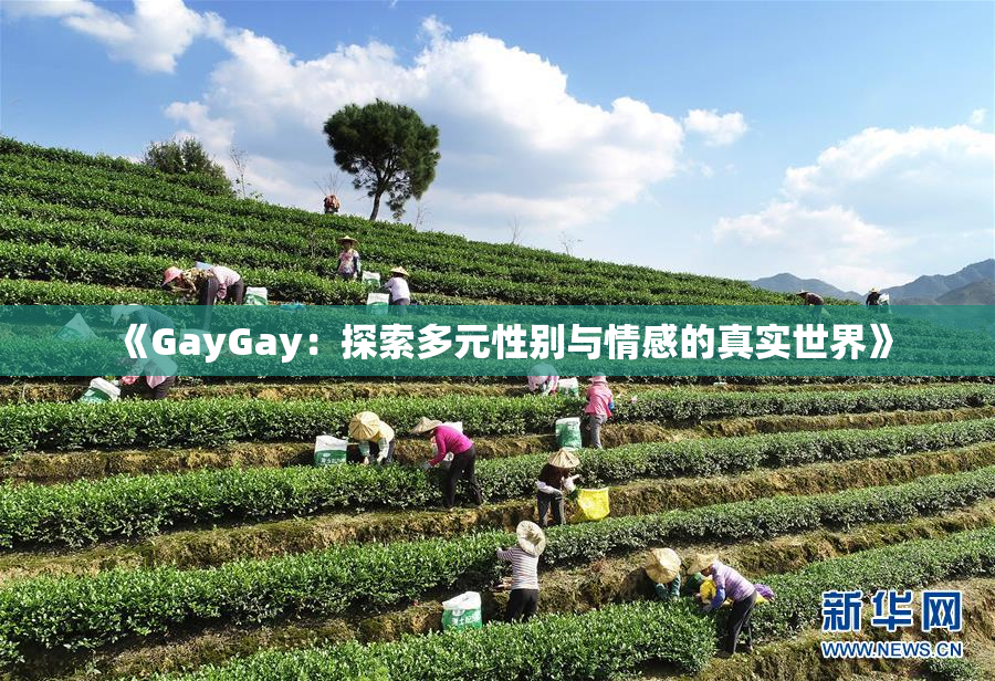 《GayGay：探索多元性别与情感的真实世界》