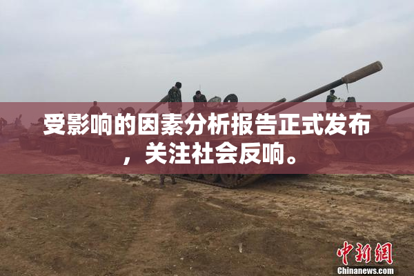 受影响的因素分析报告正式发布，关注社会反响。