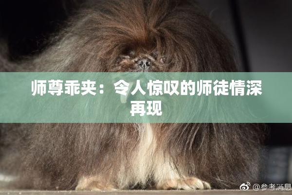 师尊乖夹：令人惊叹的师徒情深再现