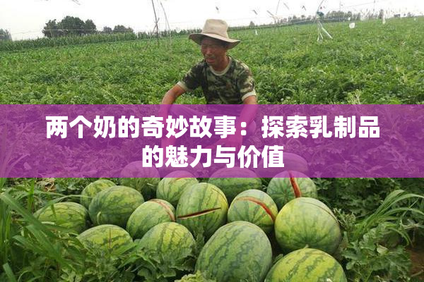 两个奶的奇妙故事：探索乳制品的魅力与价值