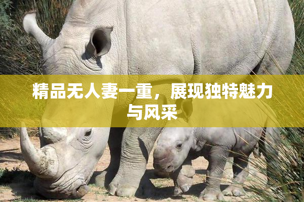 精品无人妻一重，展现独特魅力与风采
