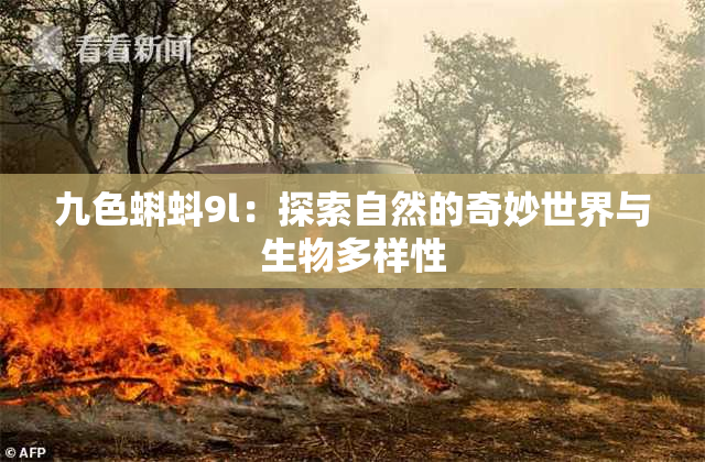 九色蝌蚪9l：探索自然的奇妙世界与生物多样性