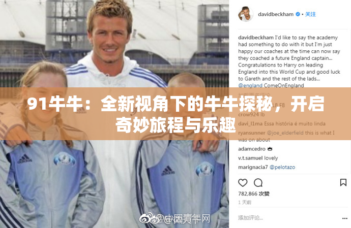 91牛牛：全新视角下的牛牛探秘，开启奇妙旅程与乐趣