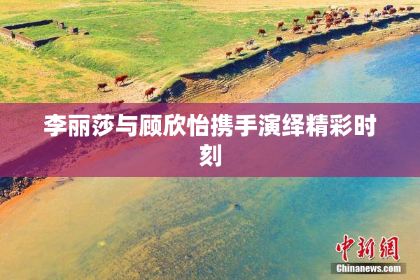 李丽莎与顾欣怡携手演绎精彩时刻