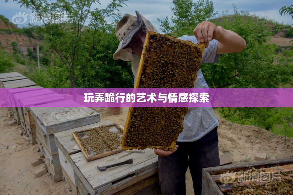 玩弄跪行的艺术与情感探索