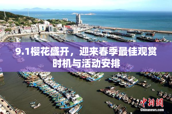 9.1樱花盛开，迎来春季最佳观赏时机与活动安排