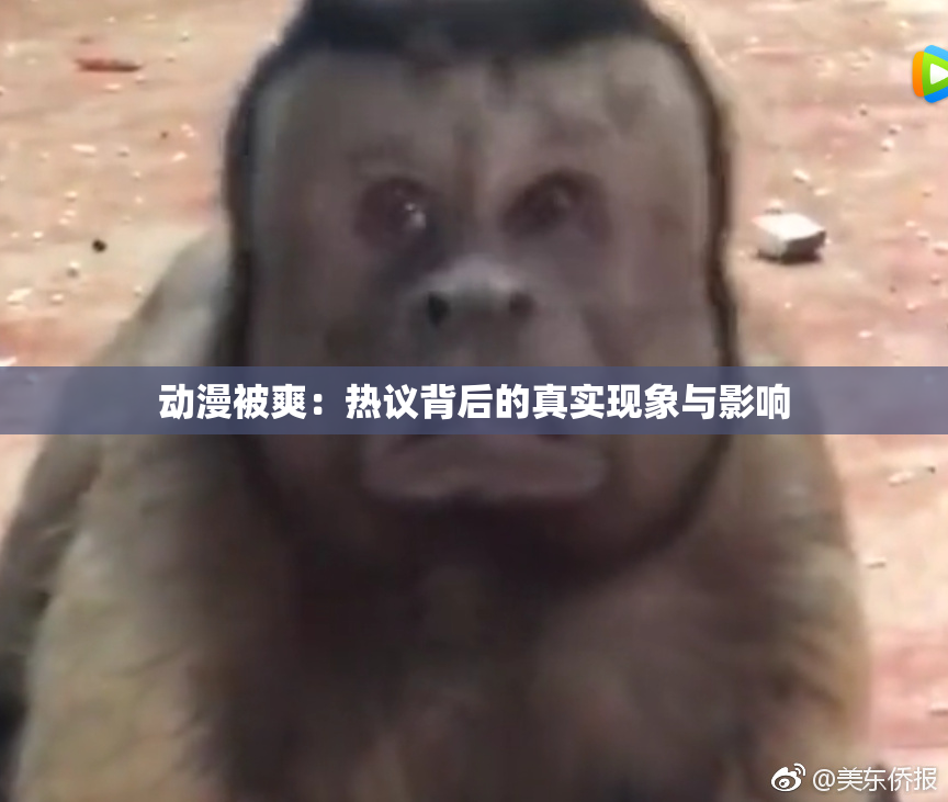 动漫被爽：热议背后的真实现象与影响