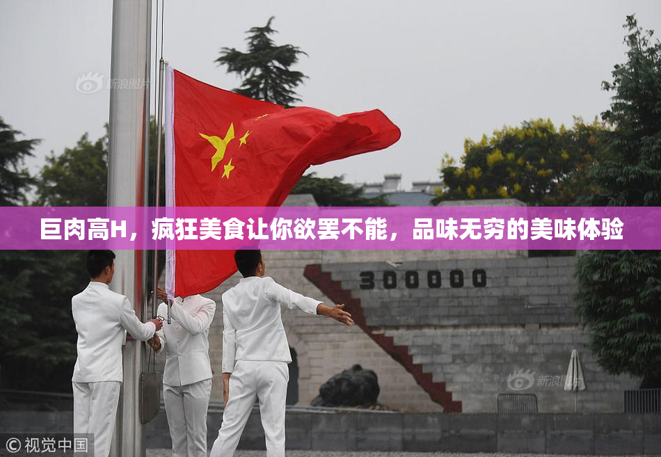 巨肉高H，疯狂美食让你欲罢不能，品味无穷的美味体验