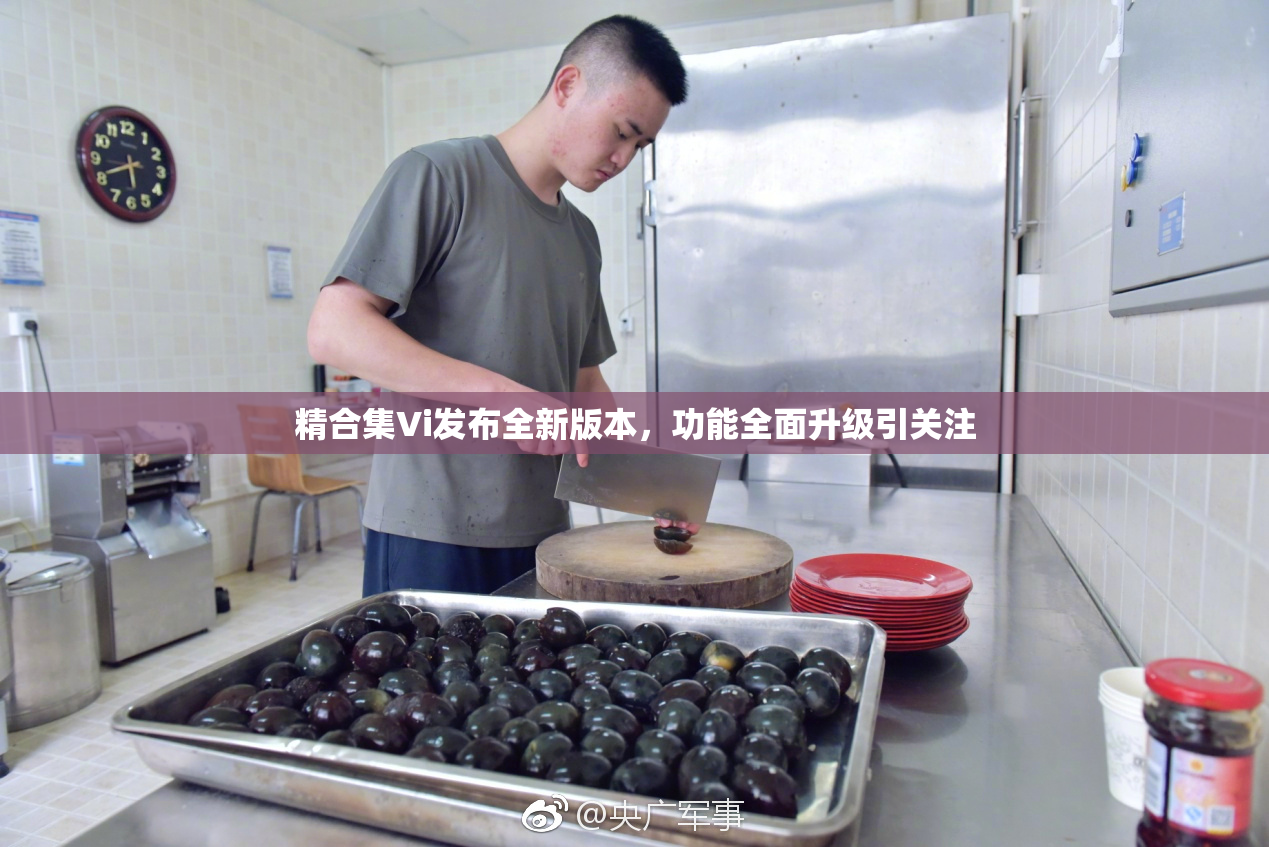 精合集Vi发布全新版本，功能全面升级引关注