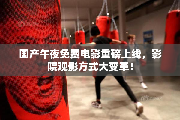 国产午夜免费电影重磅上线，影院观影方式大变革！
