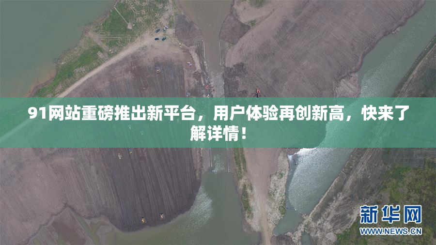 91网站重磅推出新平台，用户体验再创新高，快来了解详情！