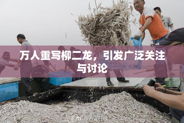 万人重写柳二龙，引发广泛关注与讨论
