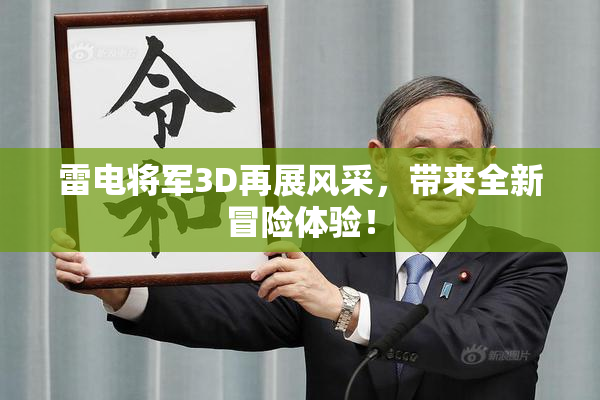 雷电将军3D再展风采，带来全新冒险体验！