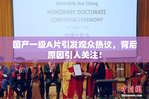 国产一级A片引发观众热议，背后原因引人关注！