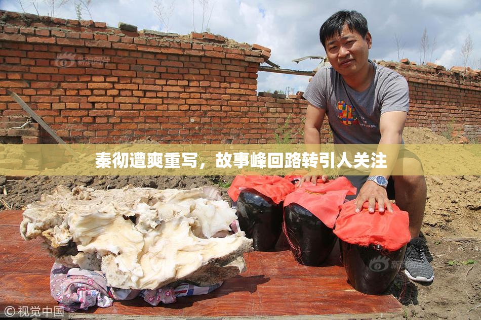 秦彻遭爽重写，故事峰回路转引人关注