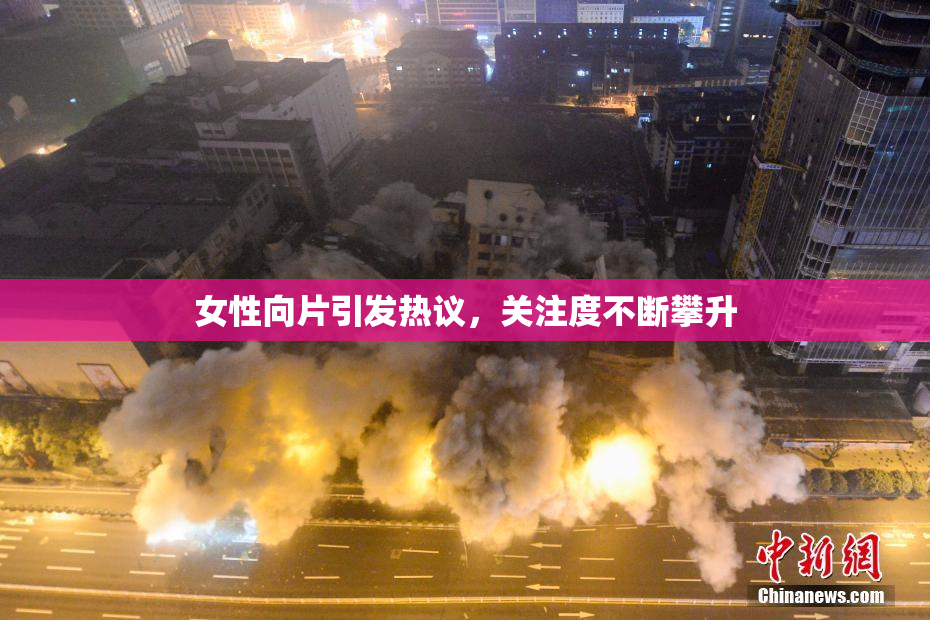 女性向片引发热议，关注度不断攀升