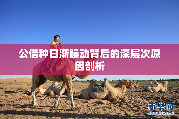 公借种日渐躁动背后的深层次原因剖析