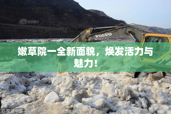 嫩草院一全新面貌，焕发活力与魅力！