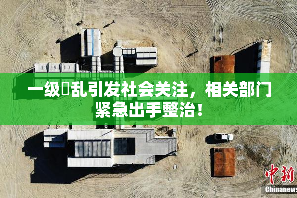 一级婬乱引发社会关注，相关部门紧急出手整治！