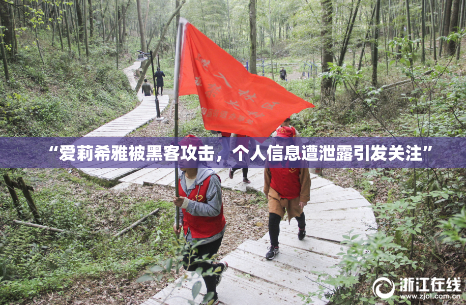 “爱莉希雅被黑客攻击，个人信息遭泄露引发关注”
