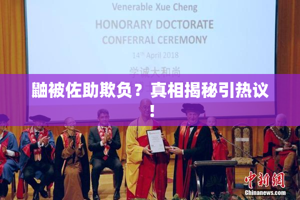 鼬被佐助欺负？真相揭秘引热议！