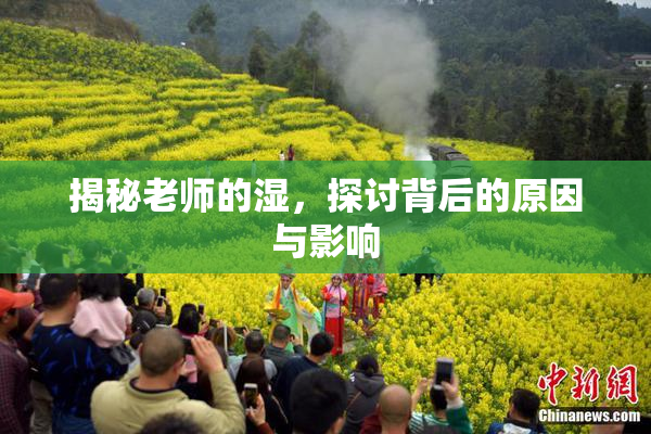 揭秘老师的湿，探讨背后的原因与影响