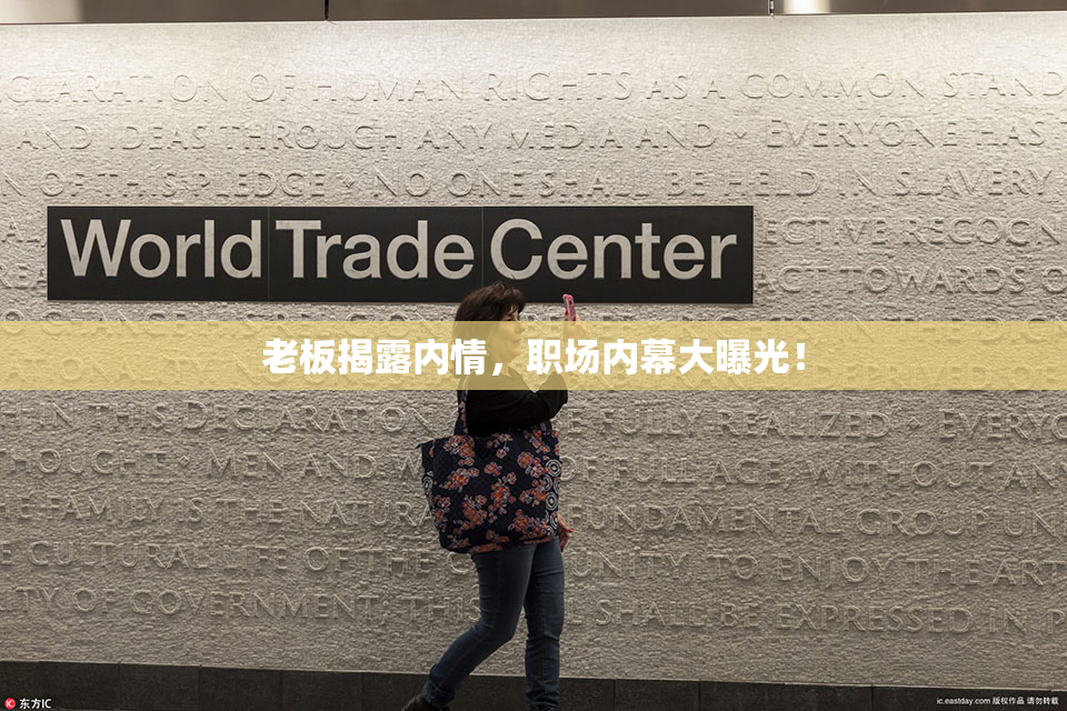 老板揭露内情，职场内幕大曝光！