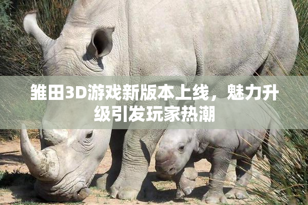 雏田3D游戏新版本上线，魅力升级引发玩家热潮