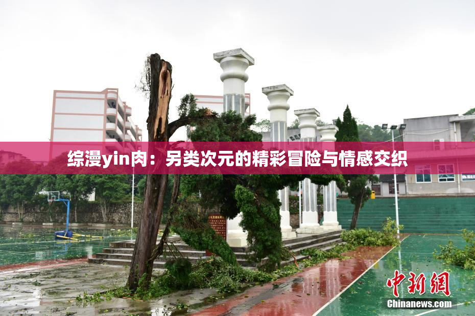 综漫yin肉：另类次元的精彩冒险与情感交织