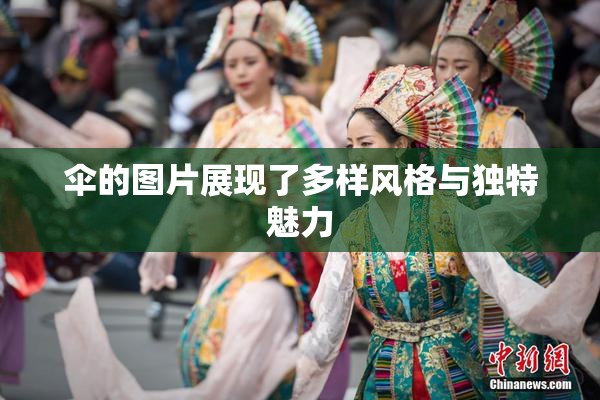 伞的图片展现了多样风格与独特魅力