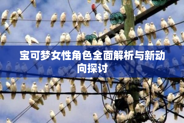 宝可梦女性角色全面解析与新动向探讨