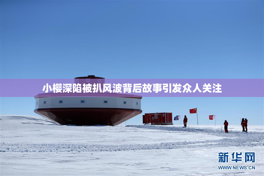 小樱深陷被扒风波背后故事引发众人关注