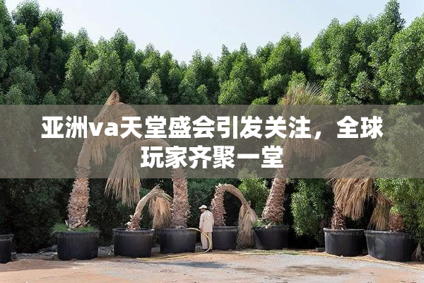 亚洲va天堂盛会引发关注，全球玩家齐聚一堂