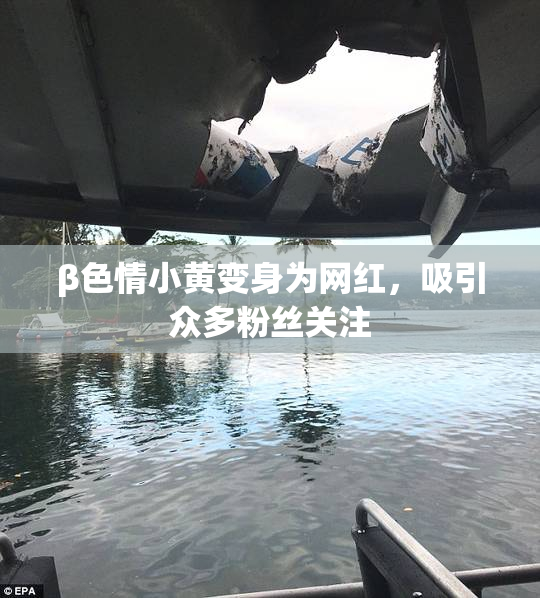 β色情小黄变身为网红，吸引众多粉丝关注