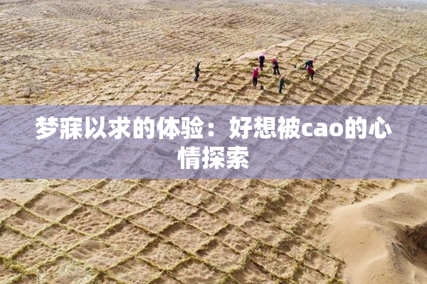 梦寐以求的体验：好想被cao的心情探索