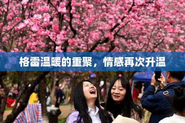 格雷温暖的重聚，情感再次升温