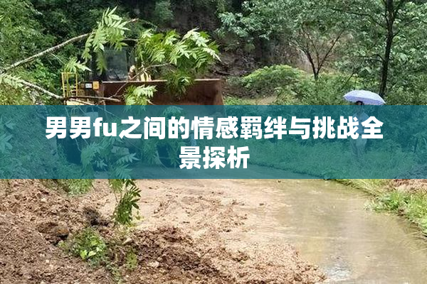 男男fu之间的情感羁绊与挑战全景探析