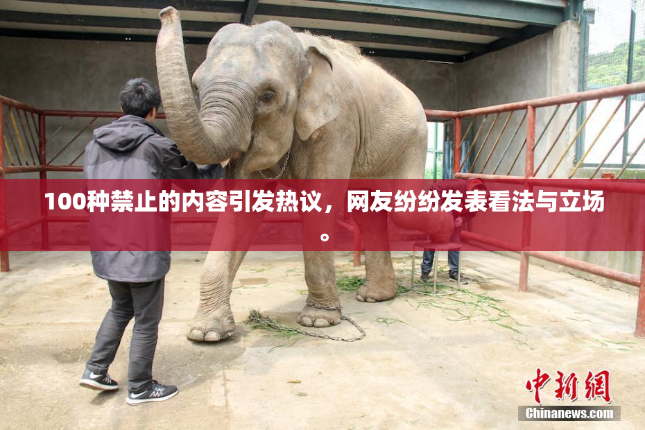 100种禁止的内容引发热议，网友纷纷发表看法与立场。