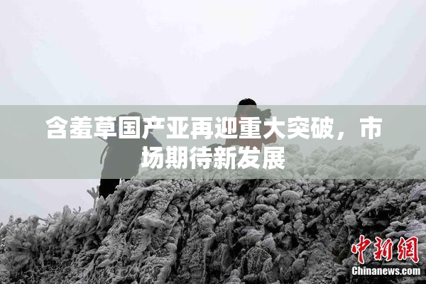 含羞草国产亚再迎重大突破，市场期待新发展