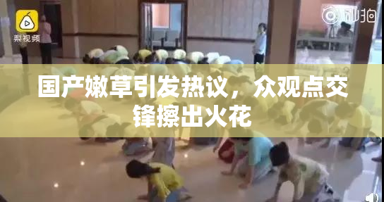 国产嫩草引发热议，众观点交锋擦出火花