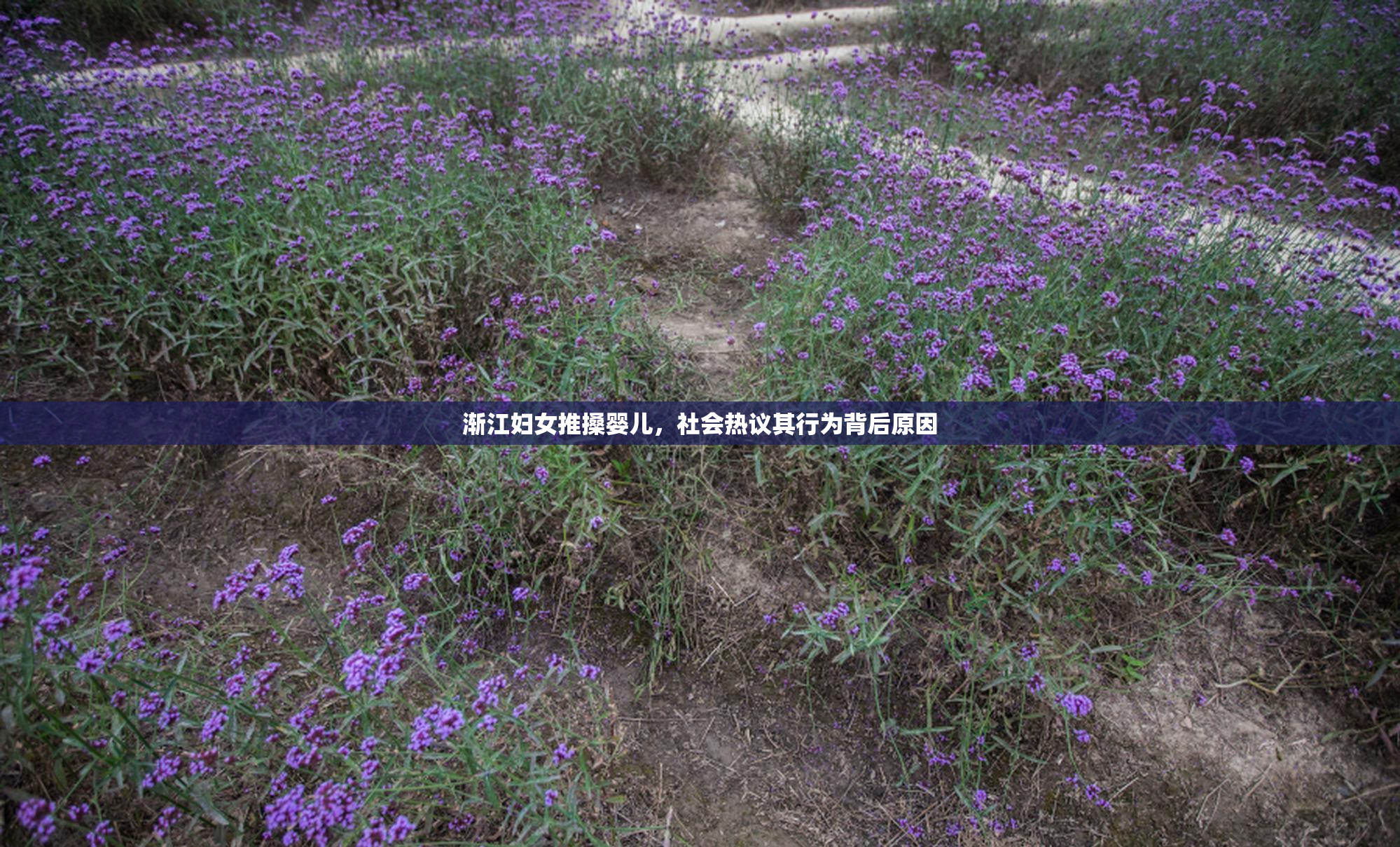 渐江妇女推搡婴儿，社会热议其行为背后原因