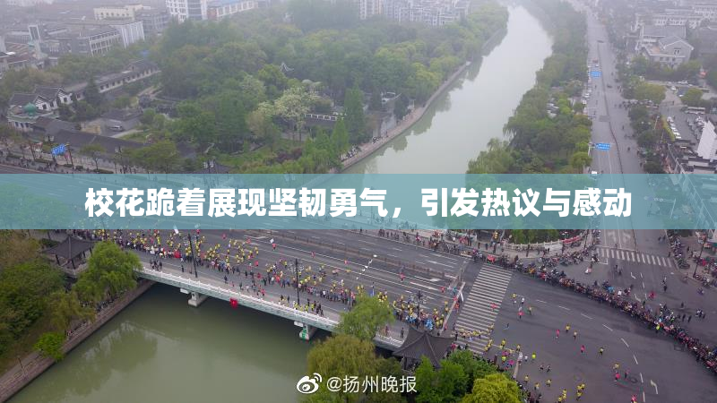 校花跪着展现坚韧勇气，引发热议与感动