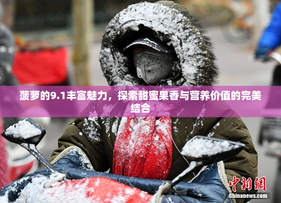 菠萝的9.1丰富魅力，探索甜蜜果香与营养价值的完美结合