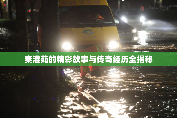 秦淮茹的精彩故事与传奇经历全揭秘