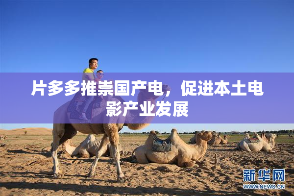 片多多推崇国产电，促进本土电影产业发展
