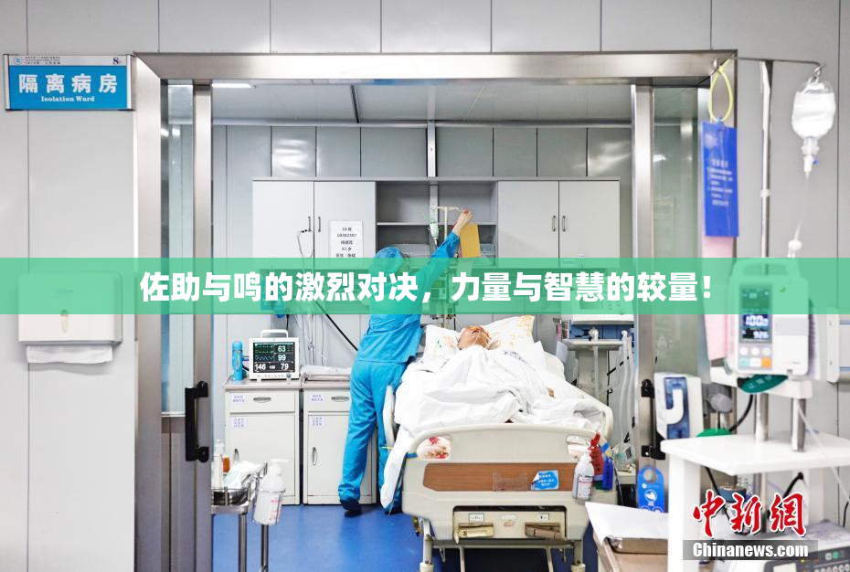 佐助与鸣的激烈对决，力量与智慧的较量！