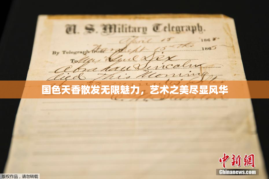 国色天香散发无限魅力，艺术之美尽显风华