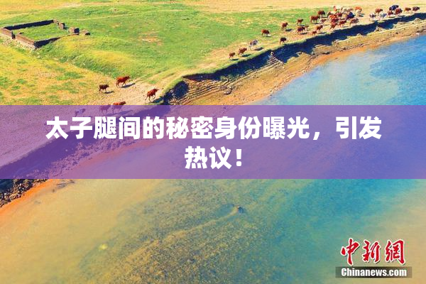 太子腿间的秘密身份曝光，引发热议！