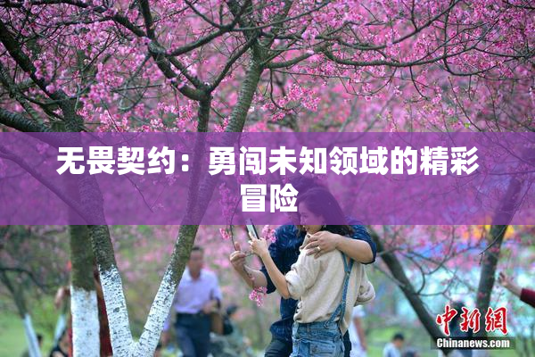 无畏契约：勇闯未知领域的精彩冒险